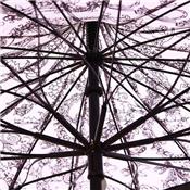 Parapluie pagode - D'Amazoni - étoile - noir et blanc motif