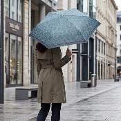 Mini parapluie pliant pour femmes - UVP 50+ Protection - Ultra-léger et compact - Paipai Imprimé - Vert