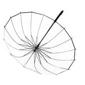 Parapluie transparent cloche femme - Ouverture Automatique - 16 baleines - Bordure noire