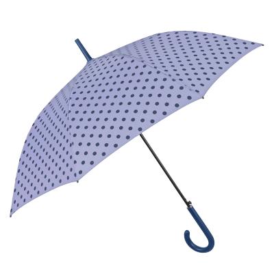 Grand parapluie automatique - Résistant au vent - Poignée incurvée - À pois - Violet