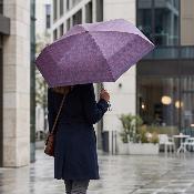 Mini parapluie pliant pour femmes - UVP 50+ Protection - Ultra-léger et compact - Paipai Imprimé - Vert