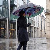 Parapluie Pliant pour Femme - Ouverture Manuel - 8 Baleines en Fibre de Verre - Parapluie Pliant à Trois Volet - Auvent à Revêtement Noir avec Poignée en Bois - Hortensia