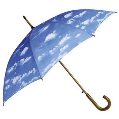 Parapluie droit - ouverture automatique - nuage