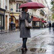 Parapluie pliant - Parapluie Extra Fin - Résistant au vent - Bordeaux