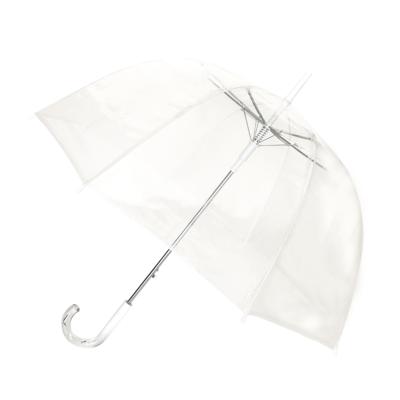 Parapluie transparente femme - Ouverture Automatique - Poignée semi transparente