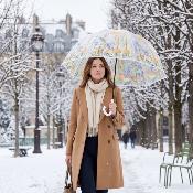 Parapluie Transparent pour Femme - Ouverture Automatique - 8 Baleines en Fibre de verre - Fleurs