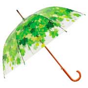 Parapluie bois